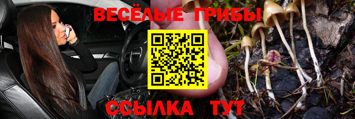 Наро-Фоминск  Галлюциногенные грибы MAGIC MUSHROOMS  где можно купить   Вход с VPN  Псилоцибиновые грибы мухоморы 